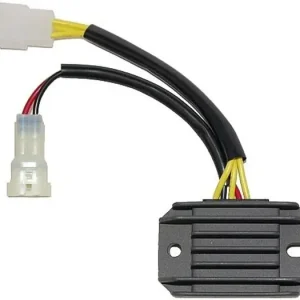 Tukkuhinta Jännitteensäädin Electrosport ESR137