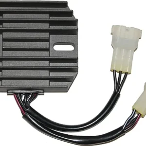 Electrosport ESR574 jännitteensäädin Pakollinen (Must-Have)