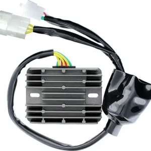 Flash-Tarjous Jännitteensäädin Electrosport ESR437