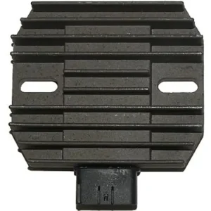 Jännitteensäädin Electrosport ESR161 Merkkituote
