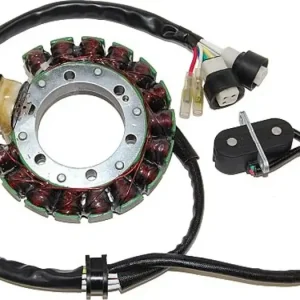 Flash-Tarjous Staattori, sytytyspuola, generaattorin staattori, Electrosport ESG431
