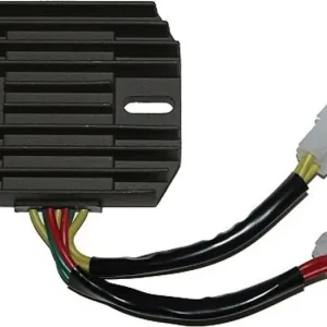 Jännitteensäädin Electrosport ESR123 Superhinta