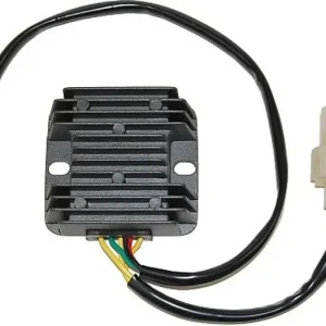 Uutuus Jännitteensäädin Electrosport ESR125