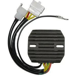 Nopea Toimitus Jännitteensäädin Electrosport ESR770