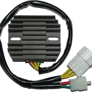 Jännitteensäädin Electrosport ESR436 Tilaa Nyt