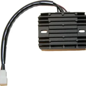 Electrosport ESR547 jännitteensäädin Aito