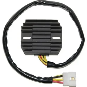 Jännitteensäädin Electrosport ESR264 Osta Verkossa