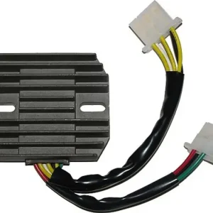 Flash-Tarjous Jännitteensäädin Electrosport ESR190