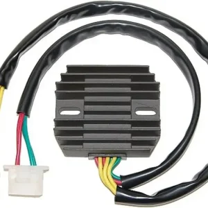 Alkuperäinen Electrosport ESR641 jännitteensäädin