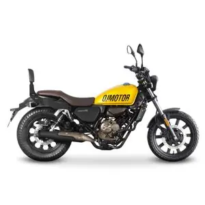 Shad Sissy bar Alennettu