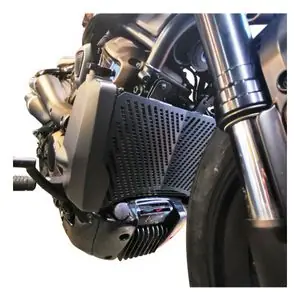 Alennettu Hinta Access Design Jäähdyttimen ritiläHARLEY DAVIDSON 1250 SPORTSTER 1250 S - 2021 - 2026